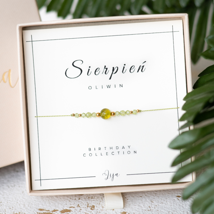 Lija - przybliżenia II (12).png